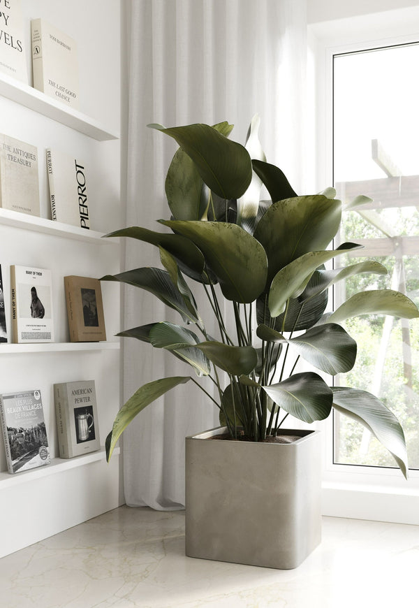 VIG Furniture Modrest Kerens - Modern Grey Concrete Planter VGGR-440150-GRY