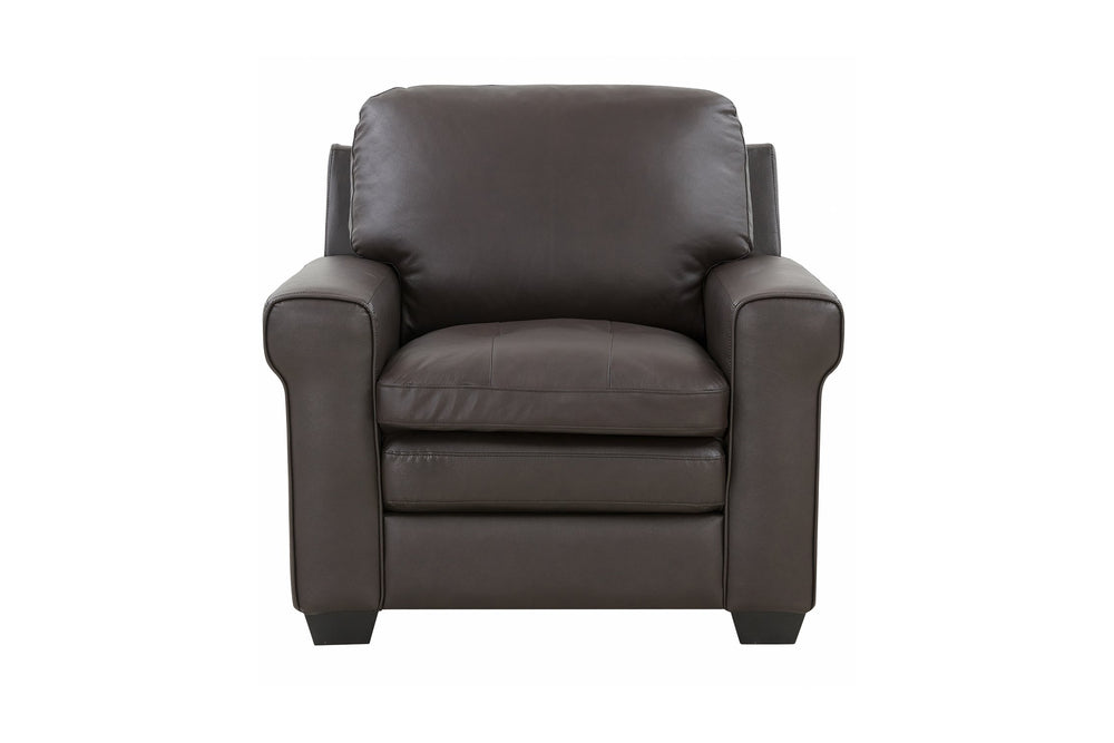 Porter Designs Porter Parma Luxe Top Grain Leather Chair In Rich Brown With Elegant Design And Comfort Features Brown Leather 02-189-03-4628
