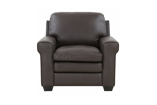 Porter Designs Porter Parma Luxe Top Grain Leather Chair In Rich Brown With Elegant Design And Comfort Features Brown Leather 02-189-03-4628
