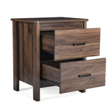 Christopher Knight Home® - Noble House - Olimont Contemporary 2 Drawer Nightstand