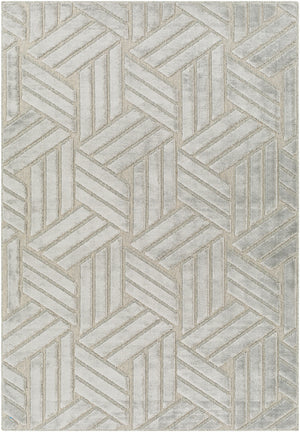 Kingston KGS-2303 5'3" x 7'3" Machine Woven Rug KGS2303-5373 Livabliss Surya