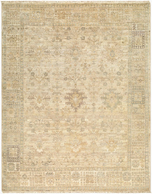 Surya Khotan Hand Knotted Wool Area Rug with Geometric Medallions for Entryways and Bedside 8' x 10' Rectangle KHT2306-810