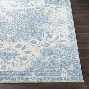 Livabliss Kilim Flat Weave Chenille Rug Turkish Machine Woven Bohemian Entryway Accent KLM2305-223