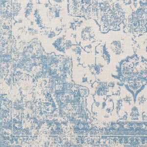 Livabliss Kilim Flat Weave Chenille Rug Turkish Machine Woven Bohemian Entryway Accent KLM2305-223