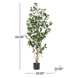 Christopher Knight Home® - Noble House - Atoka 5.5' X 2' Artificial Laurel Tree, Green