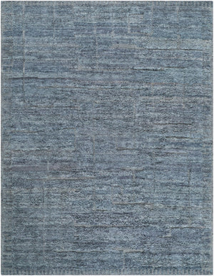 Surya Kentucky Hand-knotted Wool Area Rug Plush High Pile Artisan Woven Living Room Accent 6' x 9' Rectangle KTY2301-69