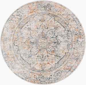 Livabliss Laila Traditional Machine Woven Polyester Area Rug with High Low Pile Texture Teal, Dusty Sag 7'10" x 7'10" LAA2310-710RD