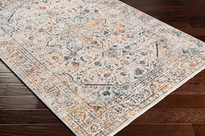 Livabliss Laila Traditional Machine Woven Polyester Area Rug with High Low Pile Texture Teal, Dusty Sag 7'10" x 7'10" LAA2310-710RD