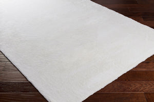 Livabliss Lapine Machine Woven High Pile Area Rug Soft Comfort for Entryways and Bedside Cream 2' x 3' LAN2300-23