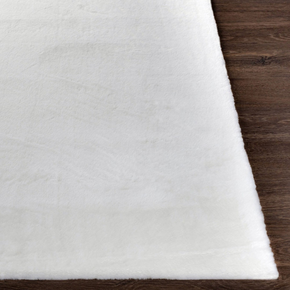 Livabliss Lapine Machine Woven High Pile Area Rug Soft Comfort for Entryways and Bedside Cream 2' x 3' LAN2300-23