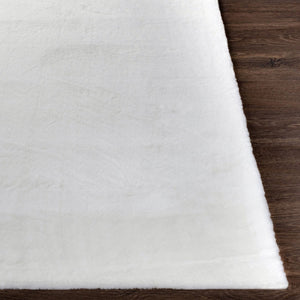 Livabliss Lapine Machine Woven High Pile Area Rug Soft Comfort for Entryways and Bedside Cream 2' x 3' LAN2300-23