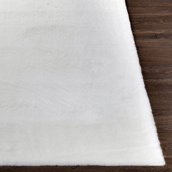 Livabliss Lapine Machine Woven High Pile Area Rug Soft Comfort for Entryways and Bedside Cream 2' x 3' LAN2300-23