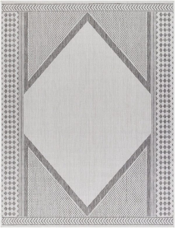 Livabliss Long Beach Flatweave Polypropylene Area Rug Global Pattern for Living or Dining Rooms LBH2300-537