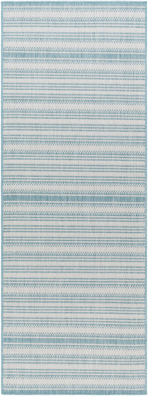 Long Beach LBH-2306 2'7" x 7'3" Machine Woven Rug LBH2306-2773 Livabliss Surya