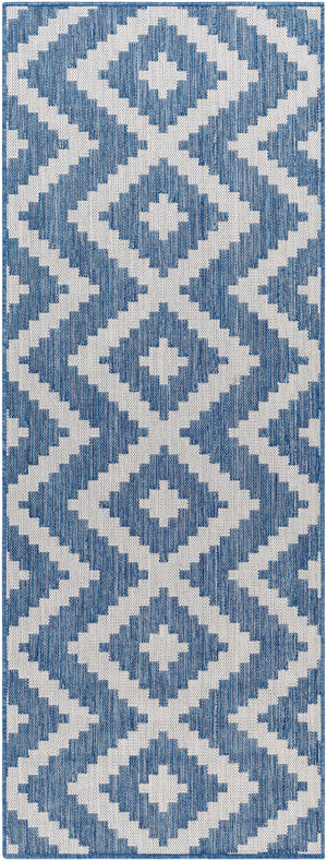 Long Beach LBH-2314 2'7" x 7'3" Machine Woven Rug LBH2314-2773 Livabliss Surya