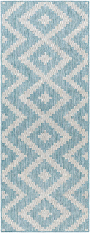 Long Beach LBH-2315 2'7" x 7'3" Machine Woven Rug LBH2315-2773 Livabliss Surya