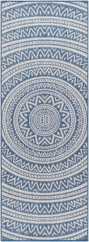 Long Beach LBH-2319 2'7" x 7'3" Machine Woven Rug LBH2319-2773 Livabliss Surya