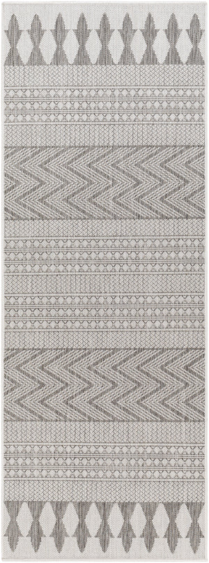 Long Beach LBH-2321 2'7" x 7'3" Machine Woven Rug LBH2321-2773 Livabliss Surya