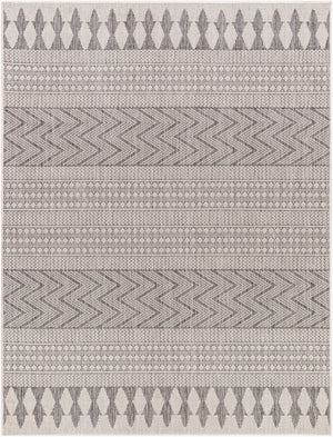 Livabliss Long Beach Global Flatweave Polypropylene Area Rug for Patios Entryways Living Rooms LBH2321-537