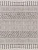 Long Beach LBH-2321 7'10" x 10' Machine Woven Rug LBH2321-71010 Livabliss Surya