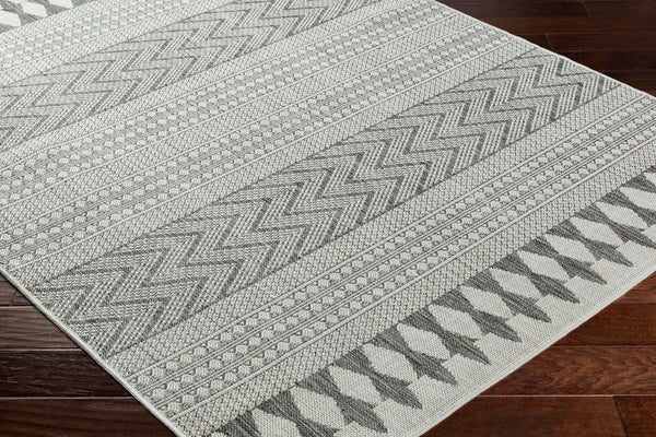 Livabliss Long Beach Global Flatweave Polypropylene Area Rug for Patios Entryways Living Rooms LBH2321-537