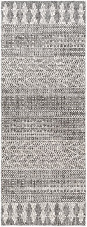 Long Beach LBH-2322 2'7" x 7'3" Machine Woven Rug LBH2322-2773 Livabliss Surya