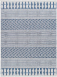 Long Beach LBH-2326 7'10" x 10' Machine Woven Rug LBH2326-71010 Livabliss Surya