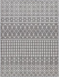 Long Beach LBH-2328 7'10" x 10' Machine Woven Rug LBH2328-71010 Livabliss Surya