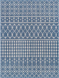 Long Beach LBH-2331 7'10" x 10' Machine Woven Rug LBH2331-71010 Livabliss Surya