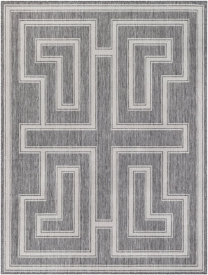 Long Beach LBH-2342 7'10" x 10' Machine Woven Rug LBH2342-71010 Livabliss Surya