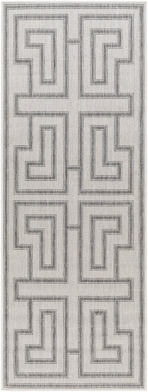 Long Beach LBH-2343 2'7" x 7'3" Machine Woven Rug LBH2343-2773 Livabliss Surya