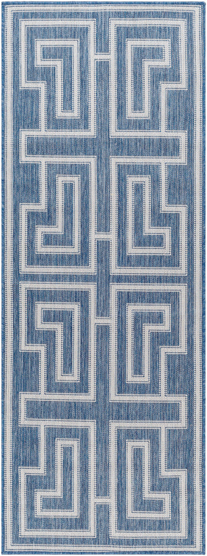 Long Beach LBH-2345 2'7" x 7'3" Machine Woven Rug LBH2345-2773 Livabliss Surya