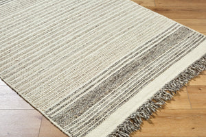 Surya Lucie Handmade 2' X 3' Wool Rug With Playful Fringe - Stylish, Durable, Easy Maintenance For Any Space Ivory Wool Lce2302-810