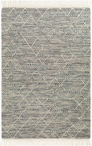 Livabliss Lucia Hand-woven Wool Blend Area Rug with Fringe Bohemian Cottage Living Room Accent Black, Gray 27" x 45" LCI2300-2339