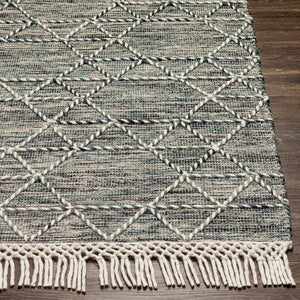 Livabliss Lucia Hand-woven Wool Blend Area Rug with Fringe Bohemian Cottage Living Room Accent Black, Gray 2'6" x 8' LCI2300-268