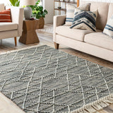 Lucia LCI-2300 5' x 7'6" Handmade Rug LCI2300-576 Livabliss Surya