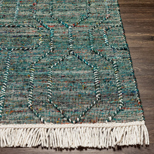 Livabliss Lucia Handwoven Flatweave Accent Rug Wool Blend Fringe Edge Cottage Farmhouse Style LCI2306-2339