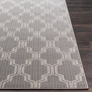 Livabliss Lagom Machine Woven Polypropylene Polyester Rug for Entryways and Small Spaces Charcoal, Mediu 2' x 3' LGM2306-23