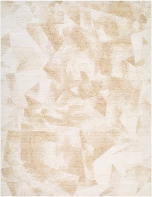 Surya Langley 10' X 14' Handmade Rug - Exquisite Mid-century Modern Design In Luxurious Nylon And Wool 'Beige Wool,Nylon Lgy2301-86116