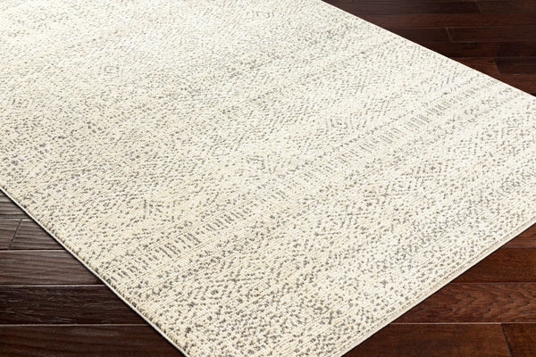 Livabliss La Boheme Machine Woven Accent Rug Bohemian Global Style for Entryway or Bedside Ivory, Black 3'11" x 5'7" LHB2302-31157