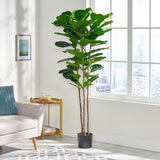 Christopher Knight Home® - Noble House - Socorro 6' X 2' Artificial Fiddle-Leaf Fig Tree, Green