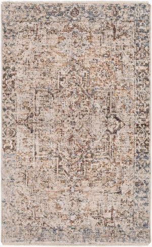 Livabliss Lincoln Traditional Fringe Accent Rug Machine Woven Polyester for Entryways and Hallways LIC2306-233