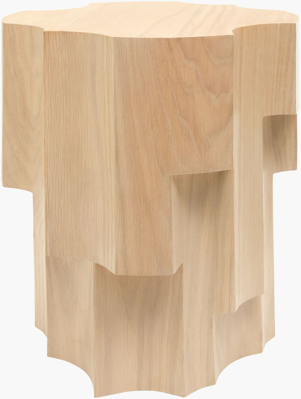 Surya Linton Oak Veneer Square End Table Eclectic Global Style Accent for Living Room LINT001-231919