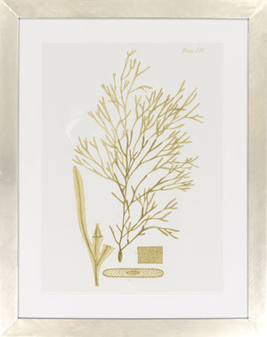 Surya Framed Wall Art Lj-4003 - 29"H X 28"W, Stylish Home Decor, Made In U.S.A., 30-day Warranty Main, Brown Paper Lj4009-3240