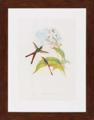 Surya Framed Wall Art Lj-4003 - 29"H X 28"W, Stylish Home Decor, Made In U.S.A., 30-day Warranty Main, Green Paper Lj4013-2633