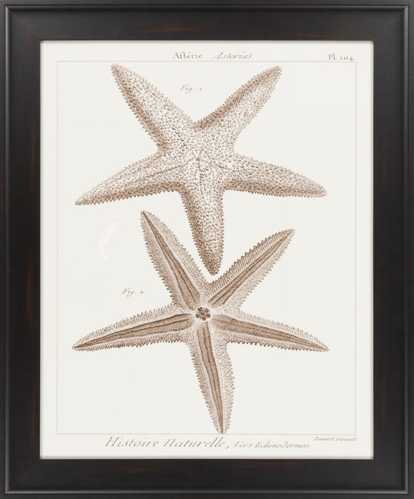 Surya Framed Wall Art Lj-4003 - 29"H X 28"W, Stylish Home Decor, Made In U.S.A., 30-day Warranty Main, Cream Paper Lj4024-2935