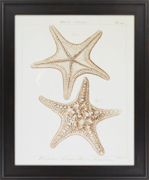 Surya Framed Wall Art Lj-4003 - 29"H X 28"W, Stylish Home Decor, Made In U.S.A., 30-day Warranty Main, Brown Paper Lj4025-2935