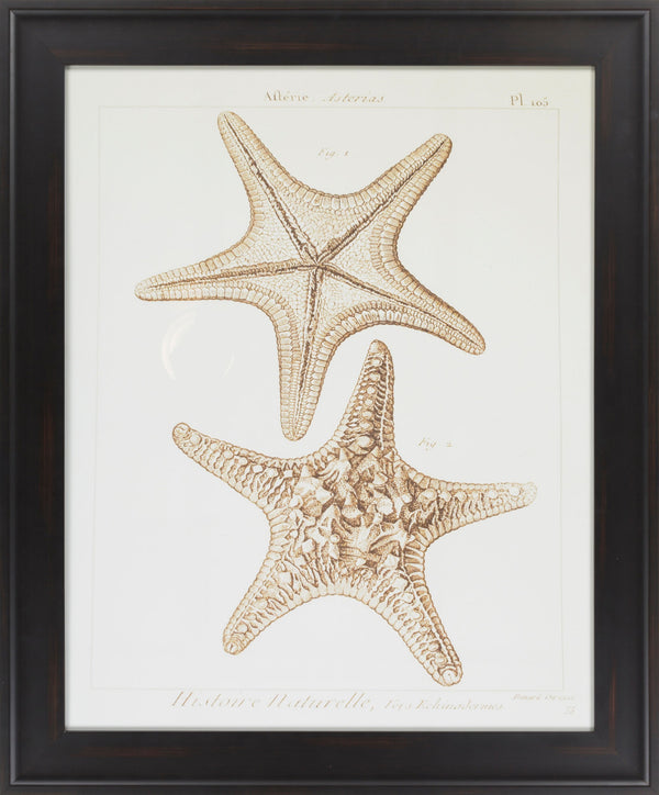 Surya Framed Wall Art Lj-4003 - 29"H X 28"W, Stylish Home Decor, Made In U.S.A., 30-day Warranty Main, Brown Paper Lj4025-2935