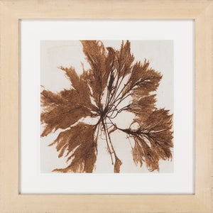 Surya Framed Wall Art Lj-4003 - 29"H X 28"W, Stylish Home Decor, Made In U.S.A., 30-day Warranty Main, Brown Paper Lj4035-2424