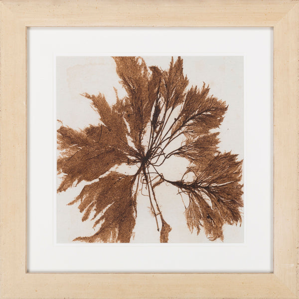 Surya Framed Wall Art Lj-4003 - 29"H X 28"W, Stylish Home Decor, Made In U.S.A., 30-day Warranty Main, Brown Paper Lj4035-2424